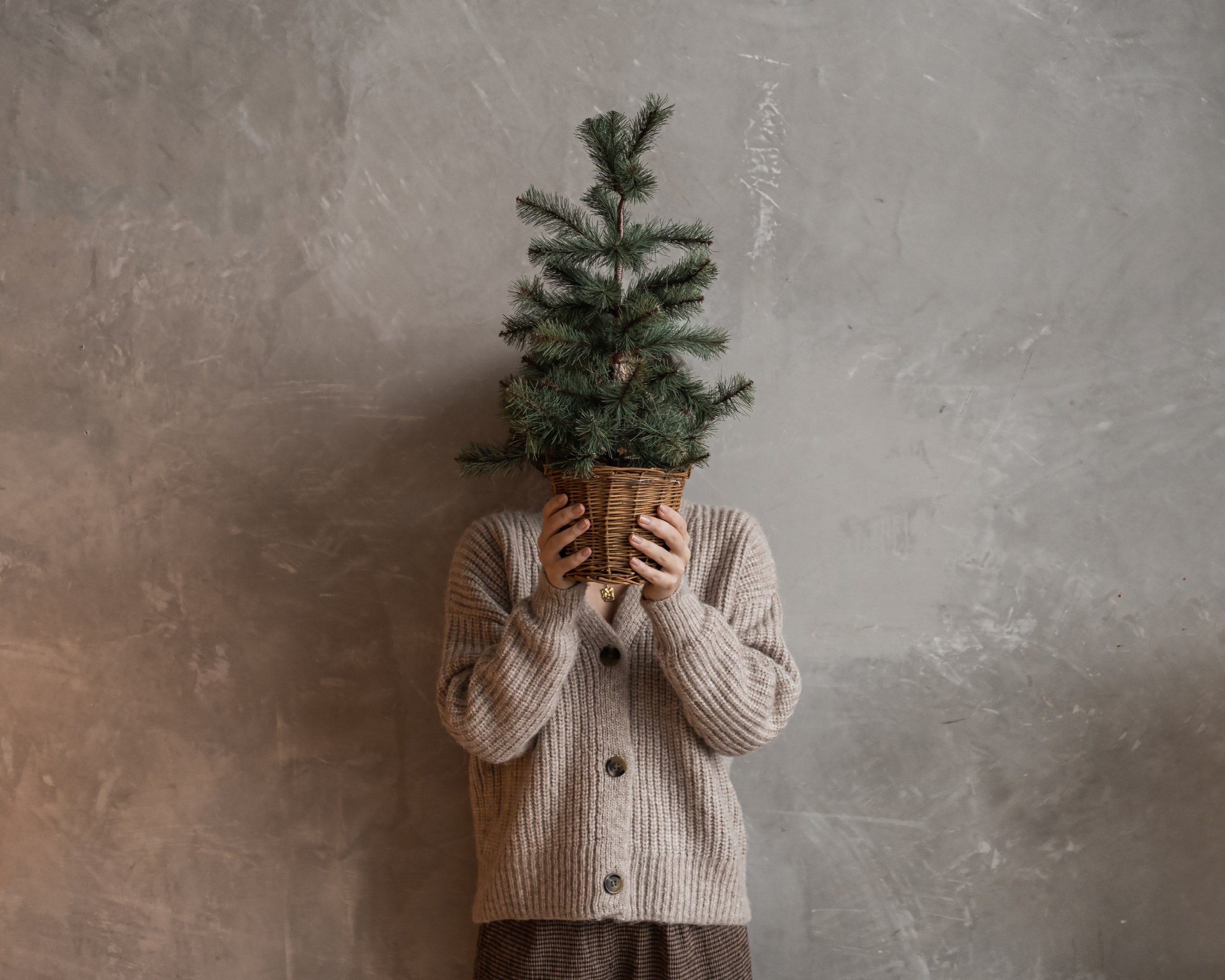 SEASONAL DESIGNS FOR A CALM WINTER ATMOSPHERE