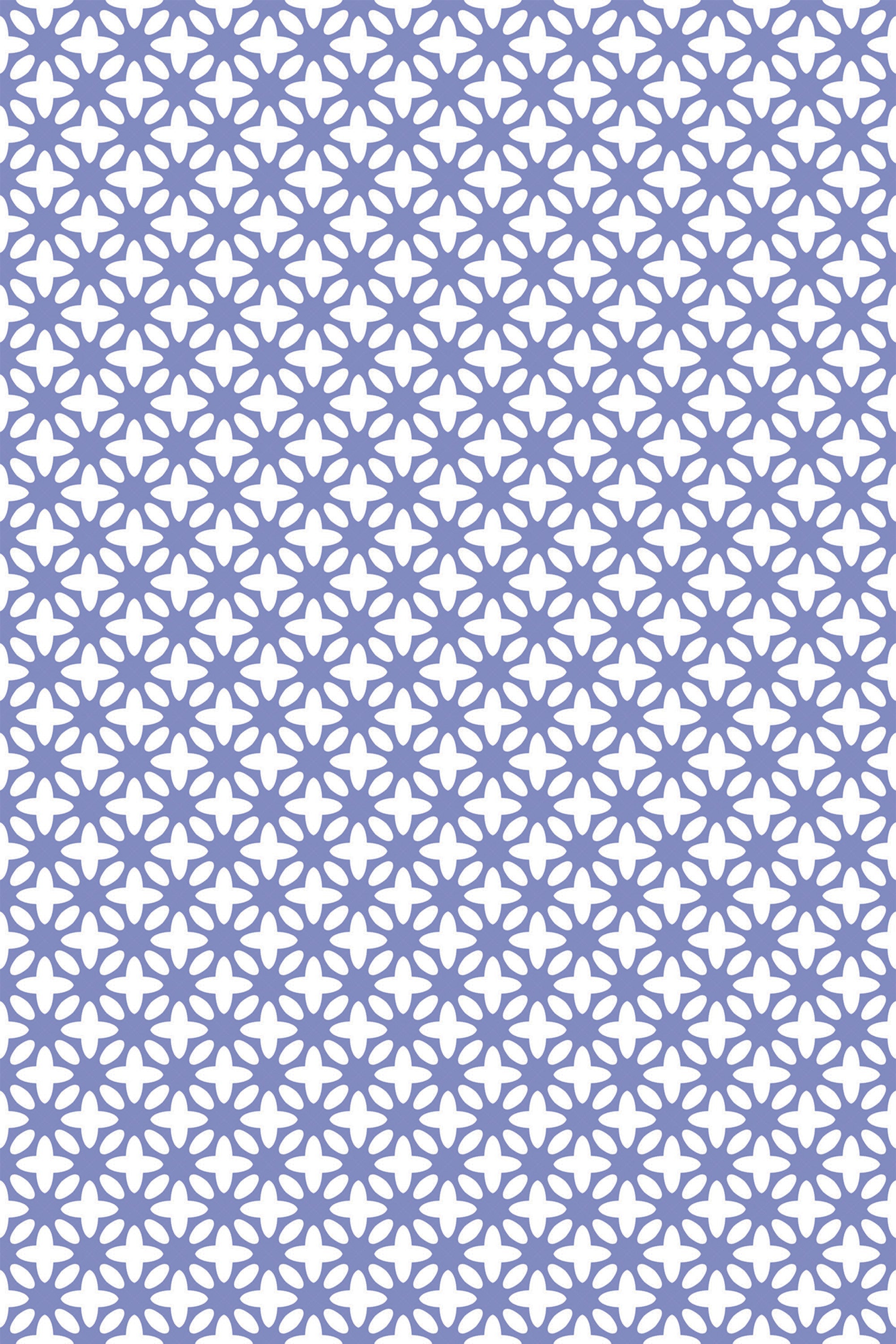 Jacaranda wallpapers