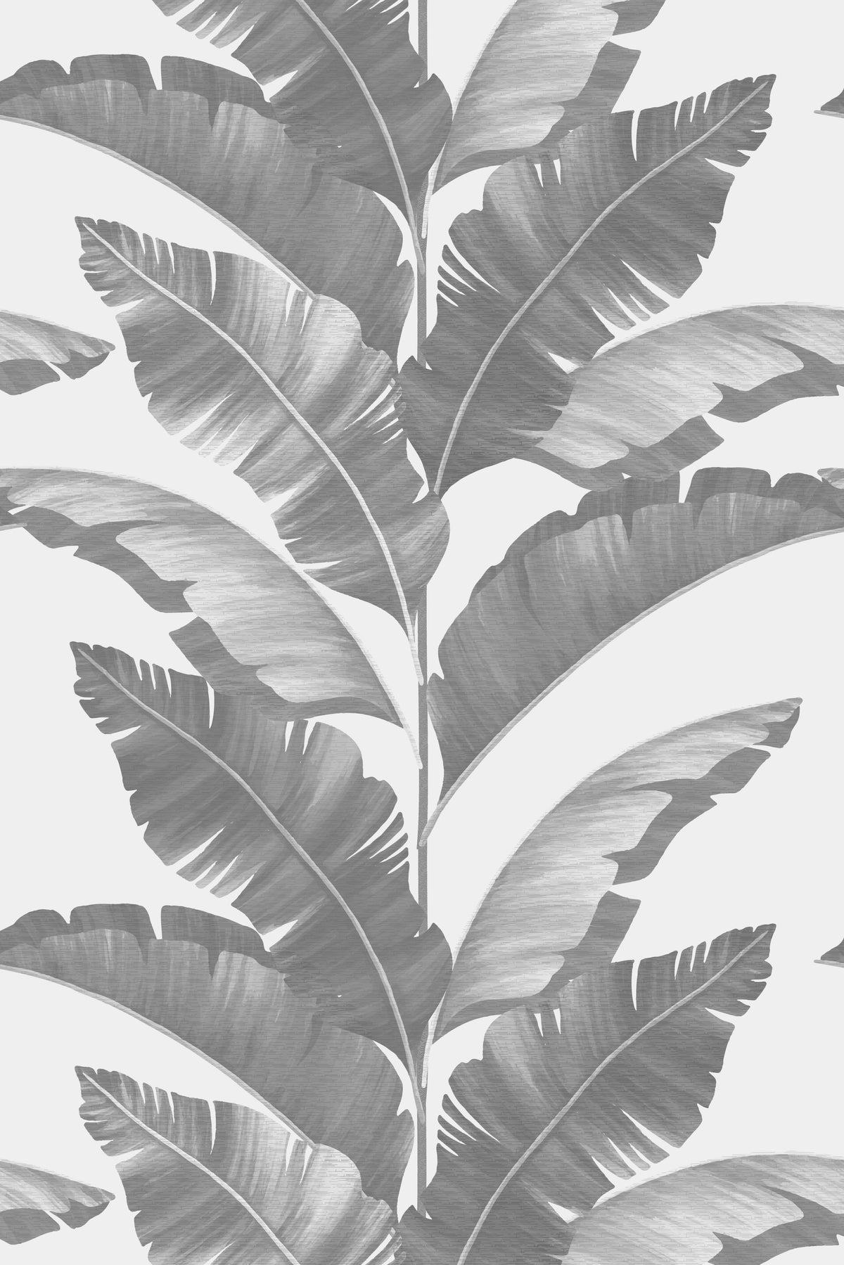 gray palm leaf design wallpaper for walls