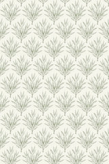 A pattern of stylized olive branches in even rows on a neutral background, offering a calming botanical aesthetic for a peel and stick removable wallpaper.