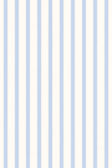 Blue and Pink French Stripes