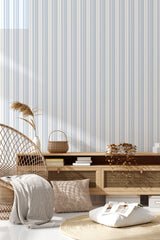 living room rattan furniture decorative plant blue stripes wall decor
