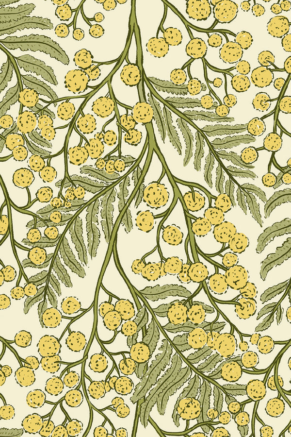 Airy Mimosa Sprigs