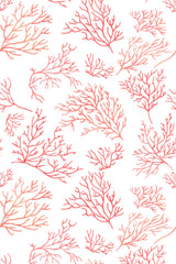 Pink coral branches on a white background, arranged in a repeating pattern across peel and stick removable wallpaper.