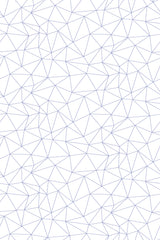 Geometric network