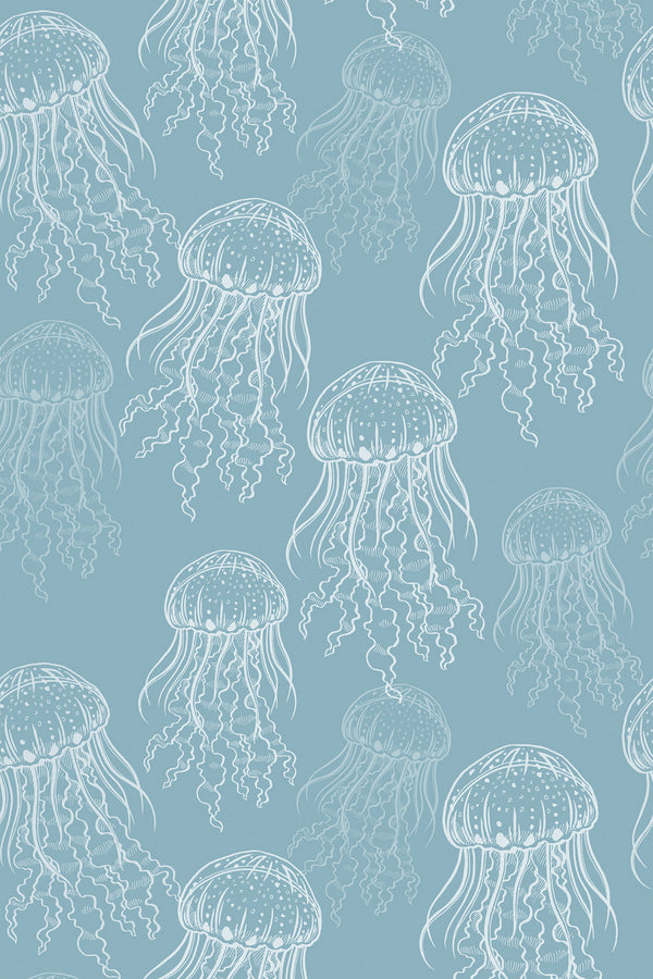 Jellyfish