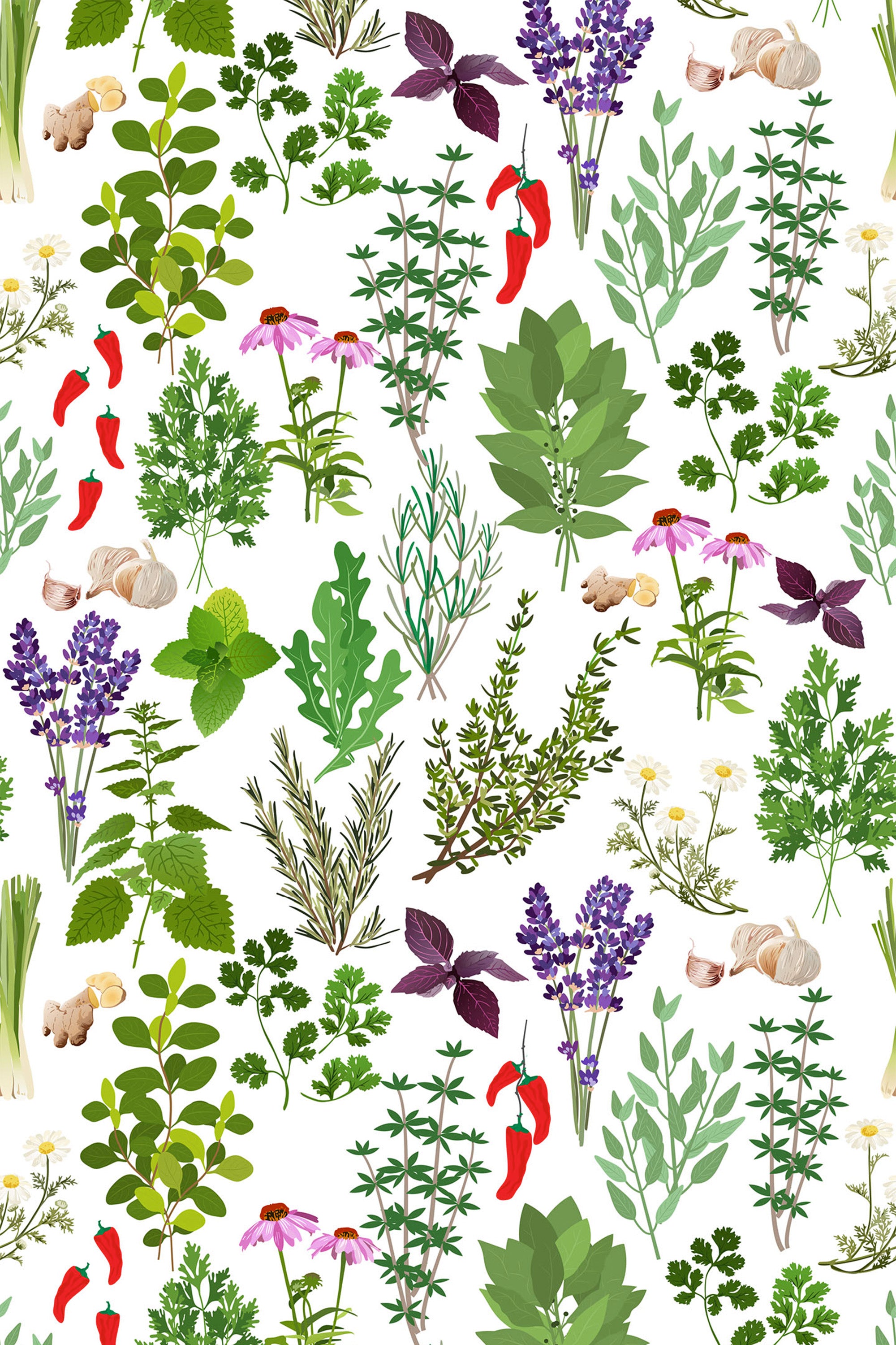 An intricate pattern of assorted green herbs such as basil, rosemary, and cilantro, interspersed with purple lavender, red chili peppers, and garlic on a white background, forming a vibrant and natural design. Peel and stick removable wallpaper.