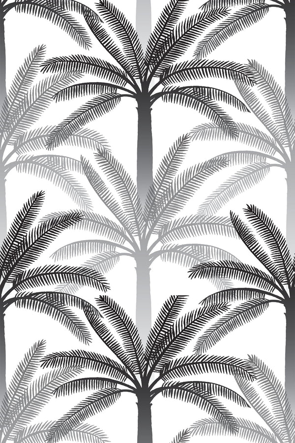 Gray and black palm trees