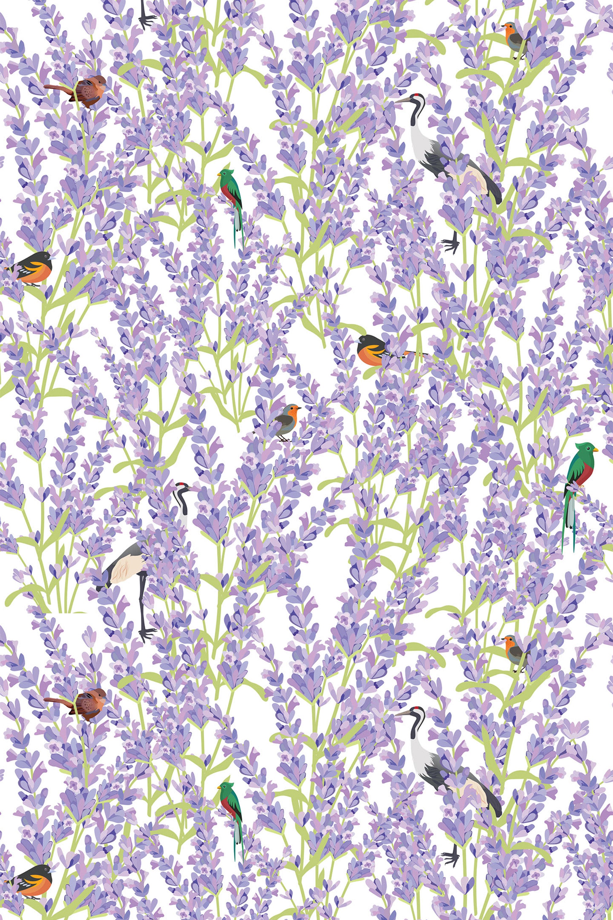 Lavender branches with delicate purple blooms intertwine with colorful, whimsical birds perched among the foliage. Peel and stick removable wallpaper.
