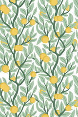 Citrus tree green