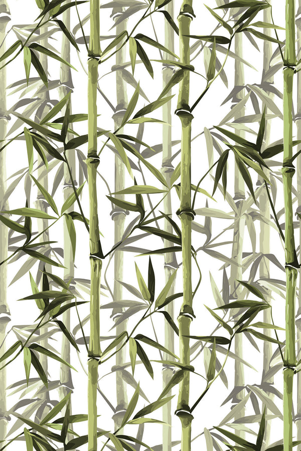Bamboo trees