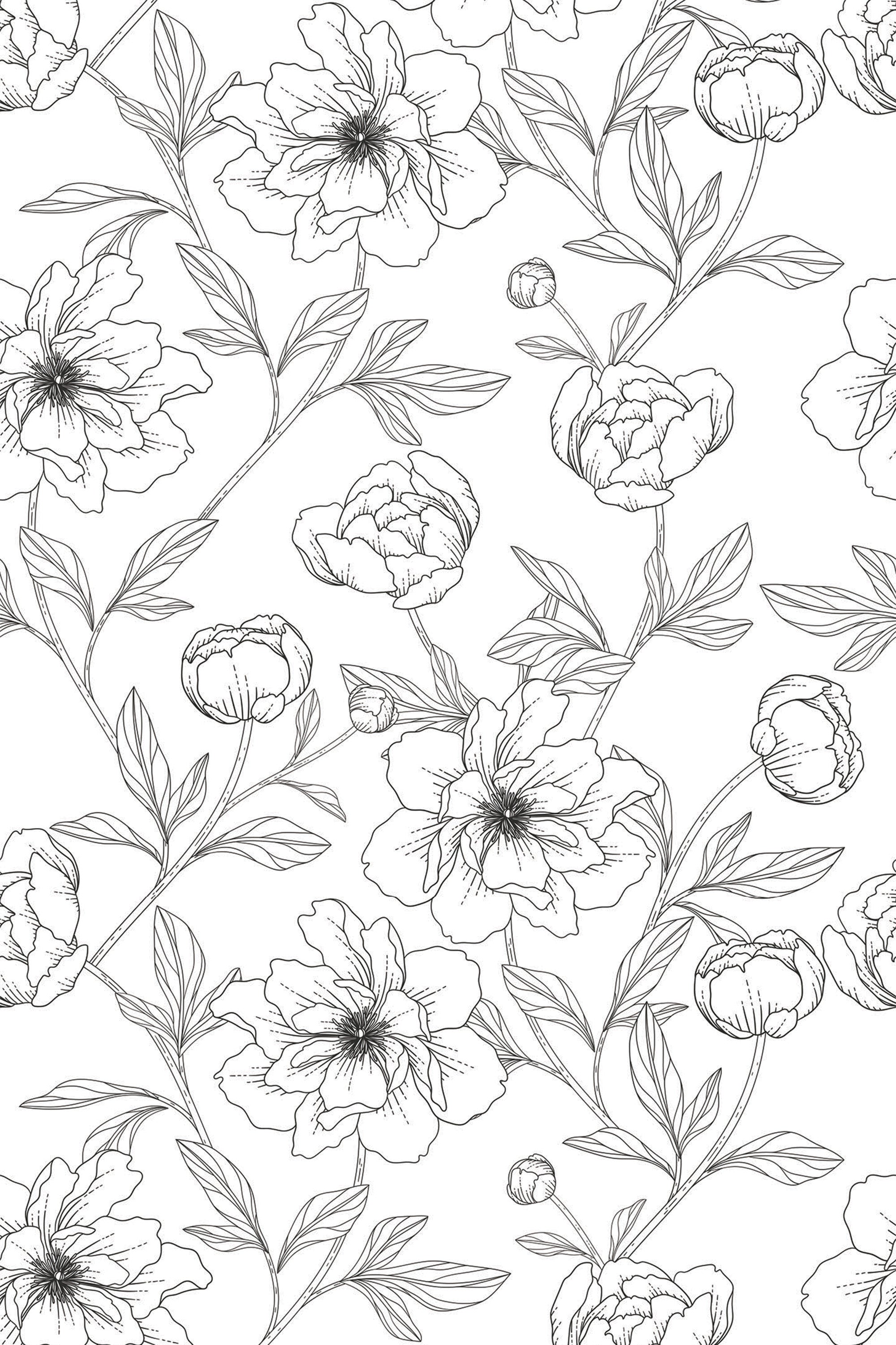 Line art wallpaper with delicate, detailed floral patterns of blooming flowers and intertwined leaves on a plain white background. The monochromatic design highlights the intricate details of the flowers and foliage in a continuous, repeating pattern, creating an elegant and subtle look. Ideal for creating a sophisticated, natural theme in any room. Peel and stick removable wallpaper.