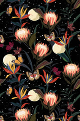 Exotic night