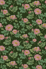 A pattern of large pink roses and green leaves on a dark green background, titled 'Bold Rose', in a peel and stick removable wallpaper.