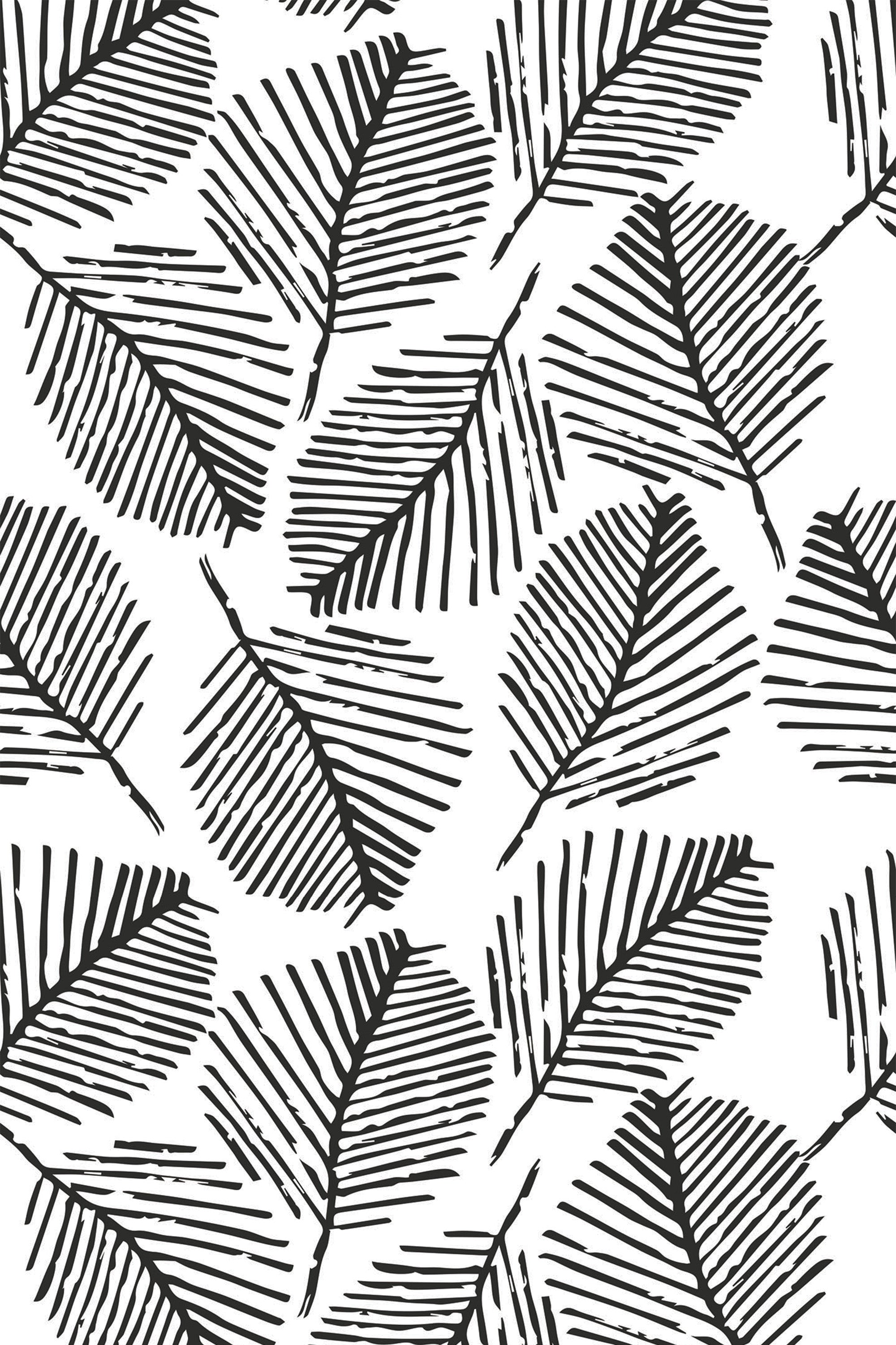 Black sketched leaf stencil pattern on a white background, peel and stick removable wallpaper.