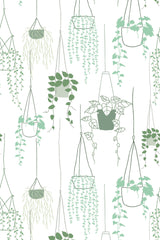 A variety of green potted plants in hanging baskets on a light background, designed as a seamless pattern for peel and stick removable wallpaper.
