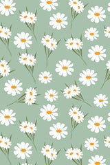 White daisies with yellow centers scattered across a soft green background, detailed with delicate green stems and leaves, creating a fresh and cheerful floral pattern on peel and stick removable wallpaper.