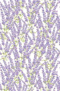 Lavender-themed pattern with delicate, purple lavender sprigs and green stems against a white background, creating a soothing and natural look. Peel and stick removable wallpaper.