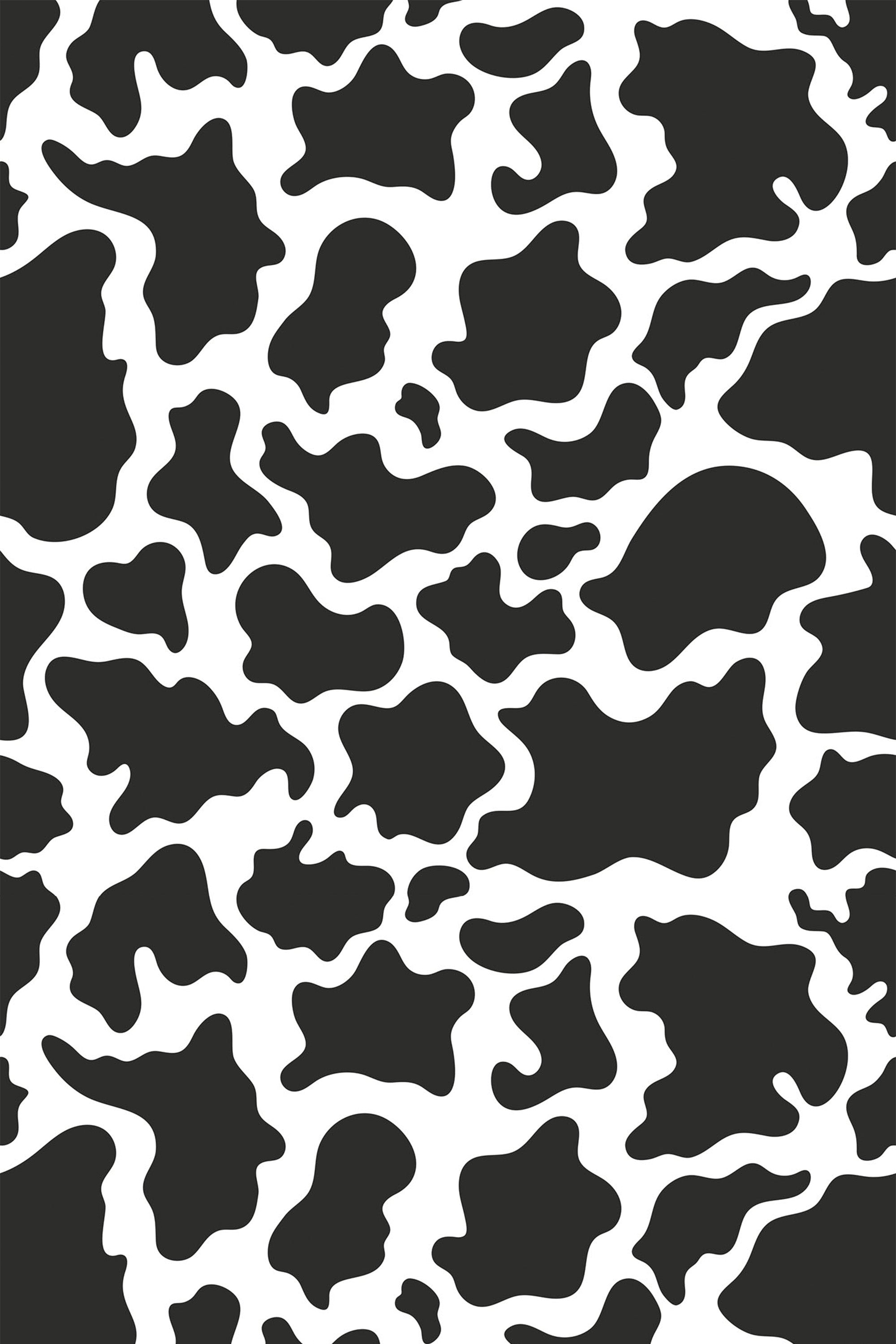 cow print wallpaper