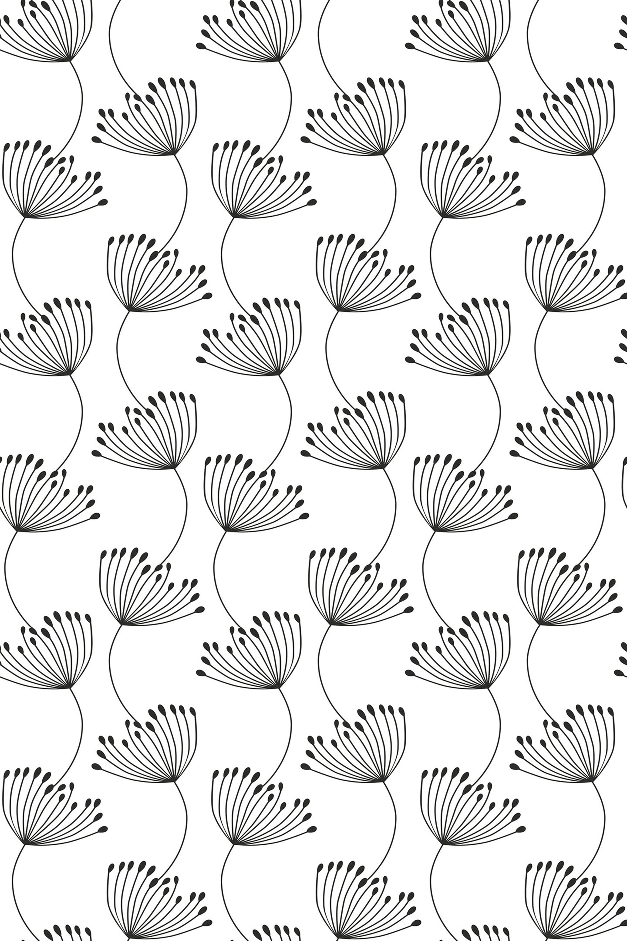 Delicate black floral line drawings on a white background, creating a seamless, modern, and minimalist pattern. Peel and stick removable wallpaper.