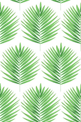 Green palm leaf