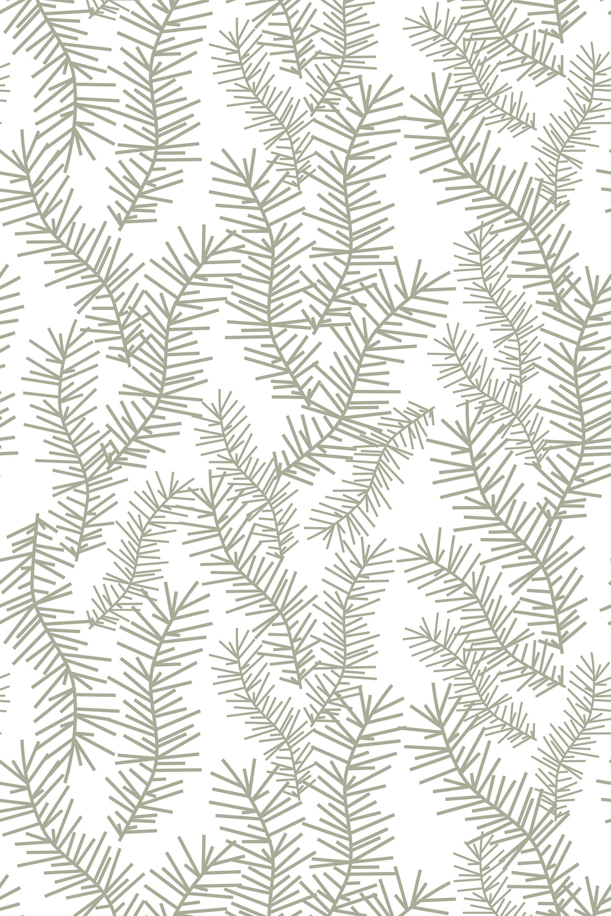 Illustration of pine tree branches with delicate needle-like leaves in a repeating pattern over a white background, peel and stick removable wallpaper.