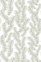 Illustration of pine tree branches with delicate needle-like leaves in a repeating pattern over a white background, peel and stick removable wallpaper.