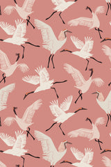 An elegant wallpaper design with white cranes in various flying poses on a muted pink background, accentuated by their outstretched wings and elongated necks. Peel and stick removable wallpaper.