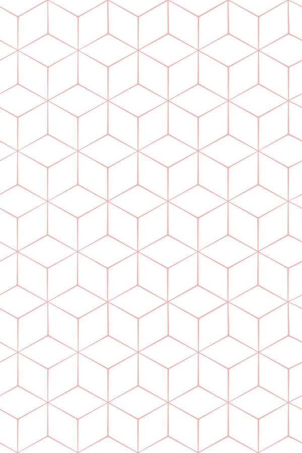 Hexagon