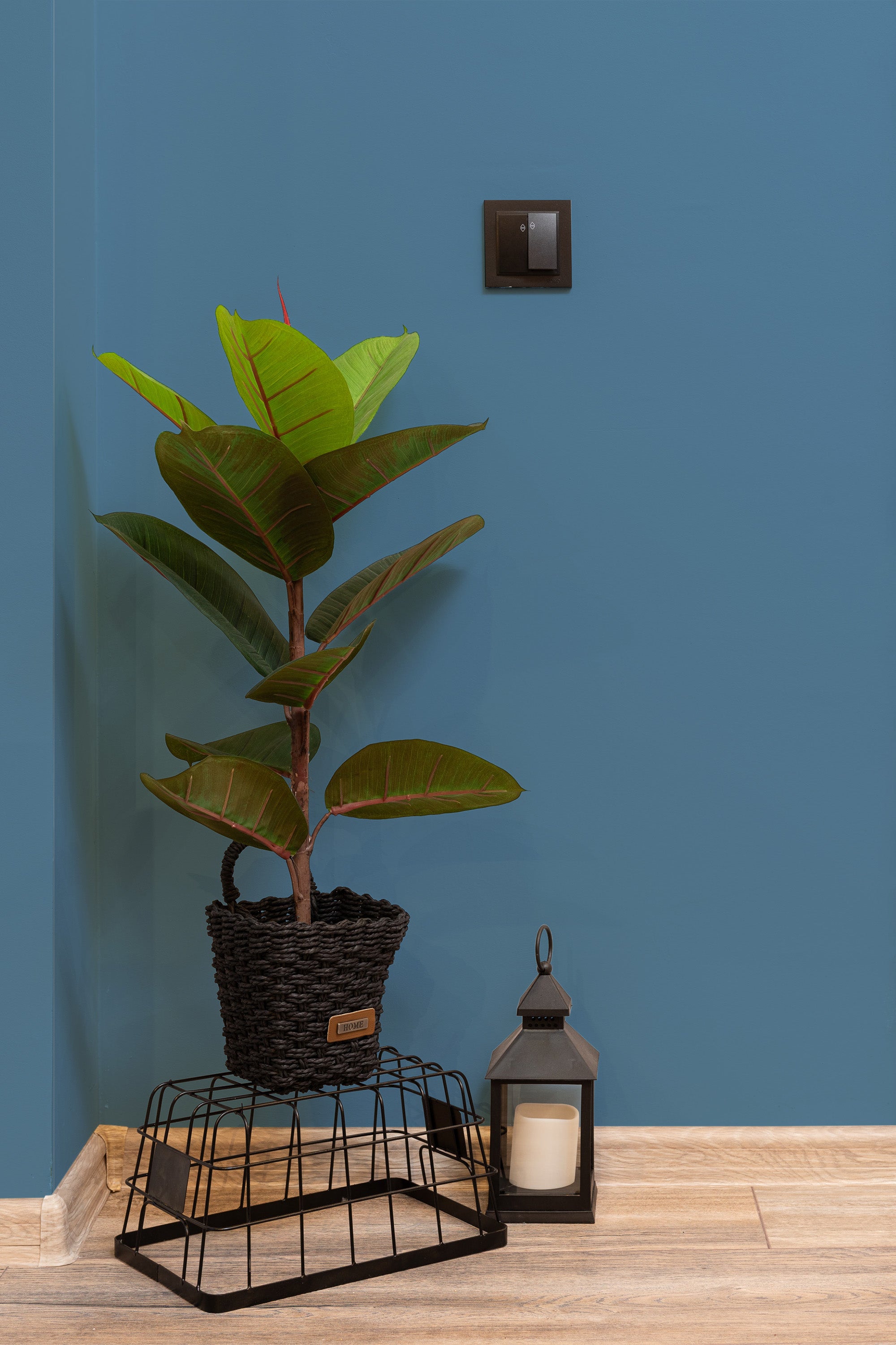 Self-adhesive plain-colored wallpaper in a solid, rich blue tone, complementing the room's decor. The wall is accented by a potted plant and a black lantern placed on a wire shelf, adding a touch of natural and warm elements.
