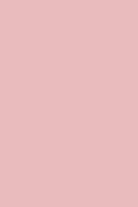 A solid pink wallpaper with a smooth, uniform color that gives off an aesthetic and calming vibe. Peel and stick removable wallpaper.