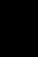 A plain black wallpaper design with a smooth texture, labeled as Bold solid, peel and stick removable wallpaper.