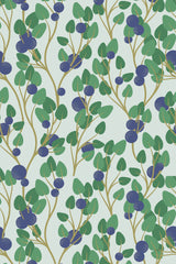 Blueberry