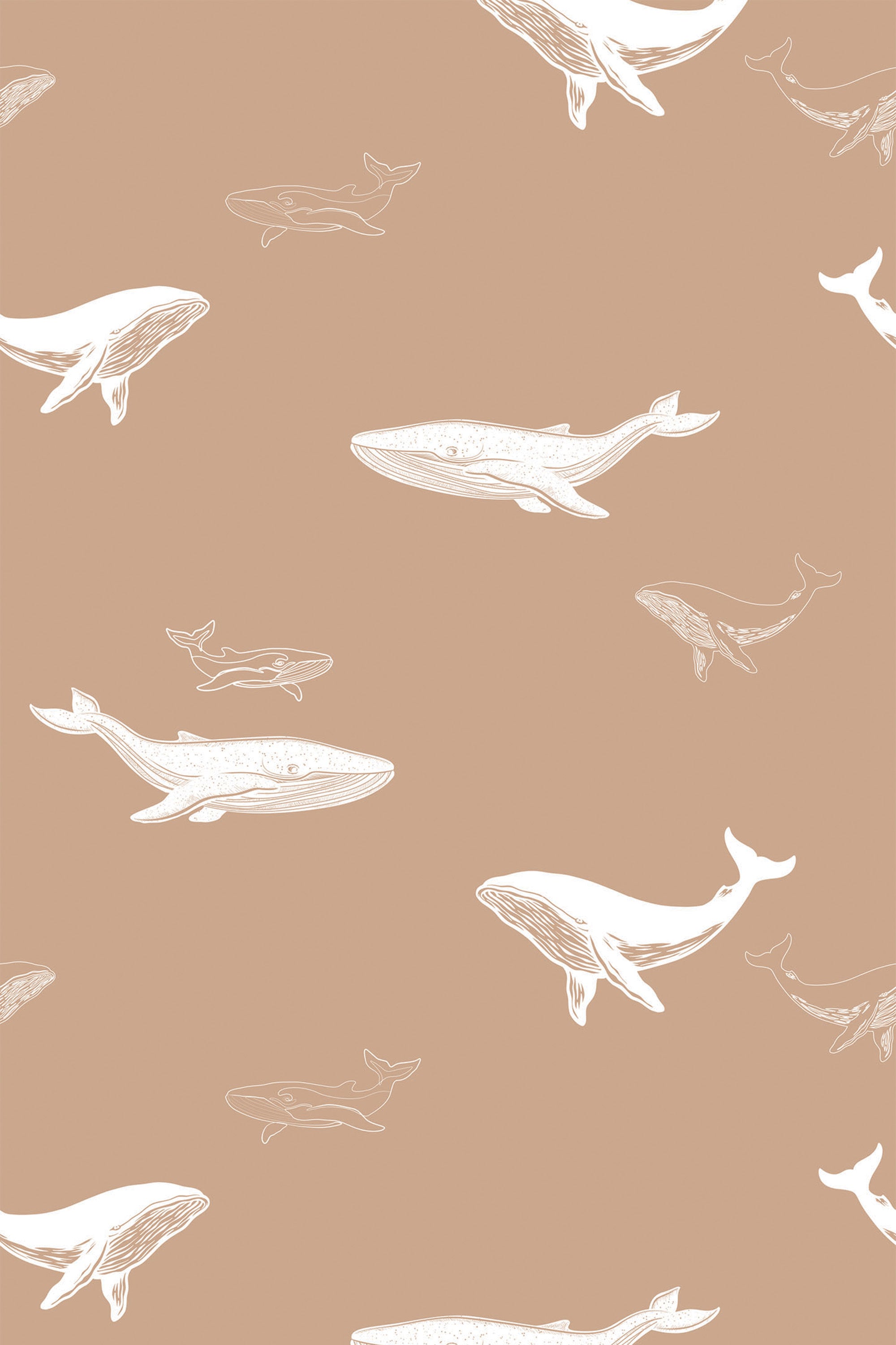 White outline illustrations of different whale species swimming across a soft brown background, creating a serene oceanic pattern. Peel and stick removable wallpaper.