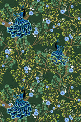 A repeating pattern featuring elegant blue peacocks surrounded by branches, green leaves, and light blue flowers on a dark green background. Peel and stick removable wallpaper.