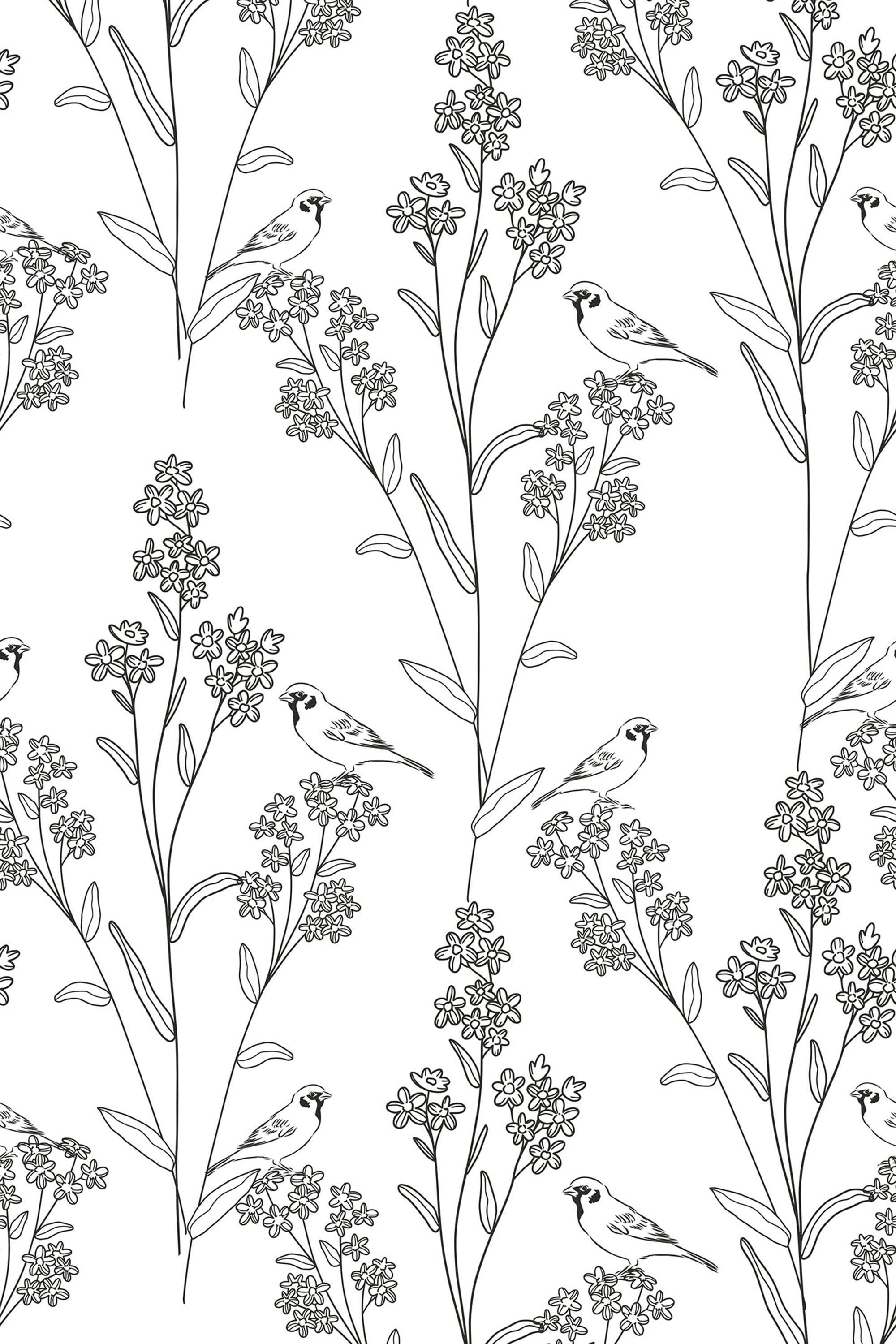 Outline drawings of birds perched on branches with clusters of flowers and leaves on a white background, peel and stick removable wallpaper.