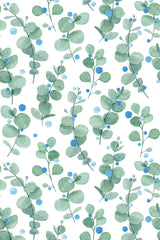 Eucalyptus