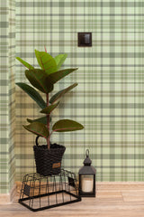 Self-adhesive wallpaper with a green plaid pattern and light, crisscrossing lines, giving a textured, woven appearance. The wall also has a black light switch, and a potted plant with broad leaves sits on a metal stand beside a decorative lantern on a light wood floor.