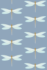 Bold dragonfly