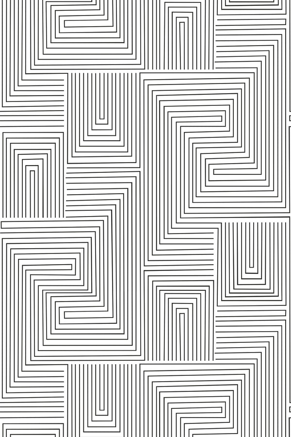 Black and white lines