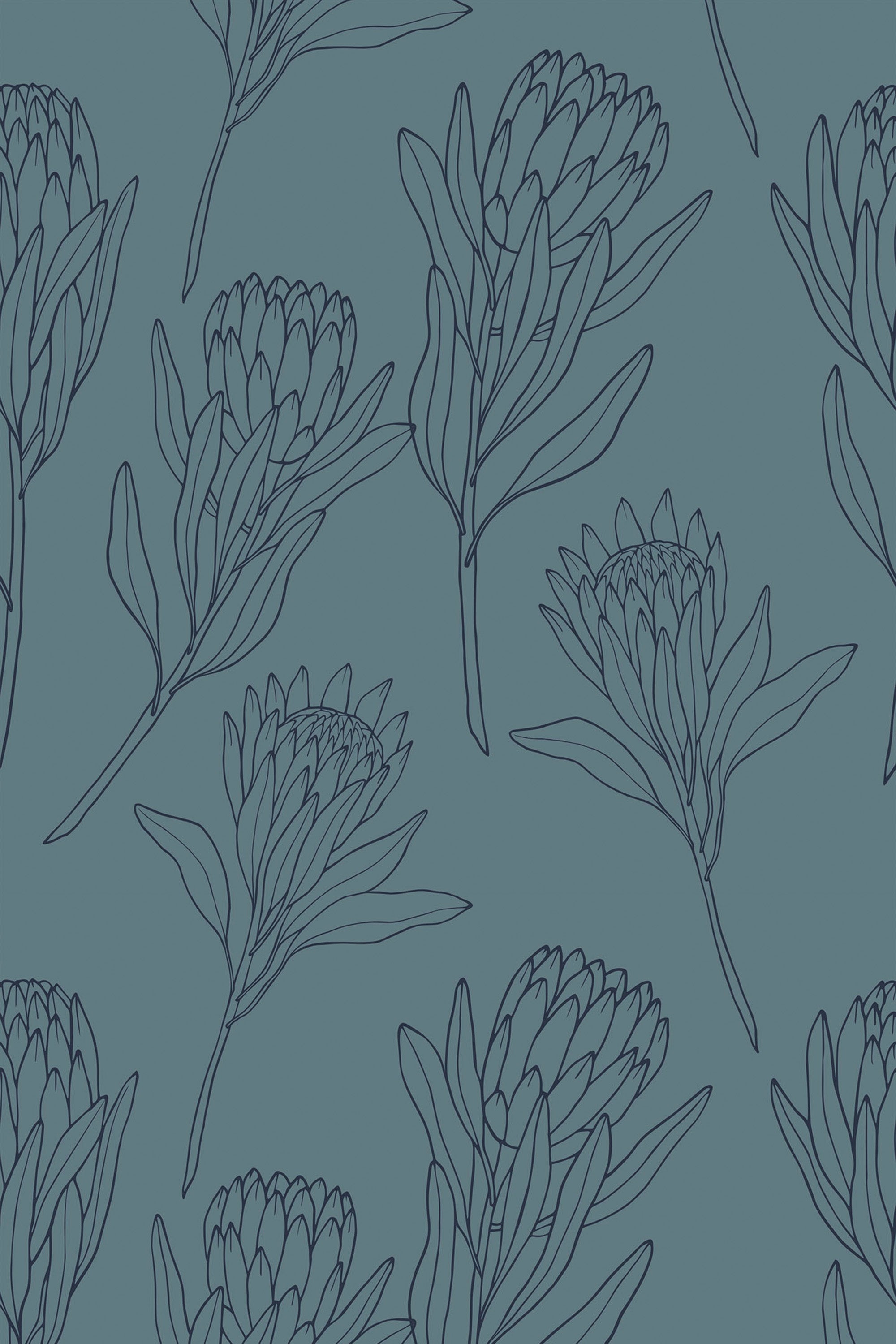 Line art of Protea flowers with detailed petals and leaves, drawn in dark blue on a muted teal background, creating a repetitive pattern for peel and stick removable wallpaper.