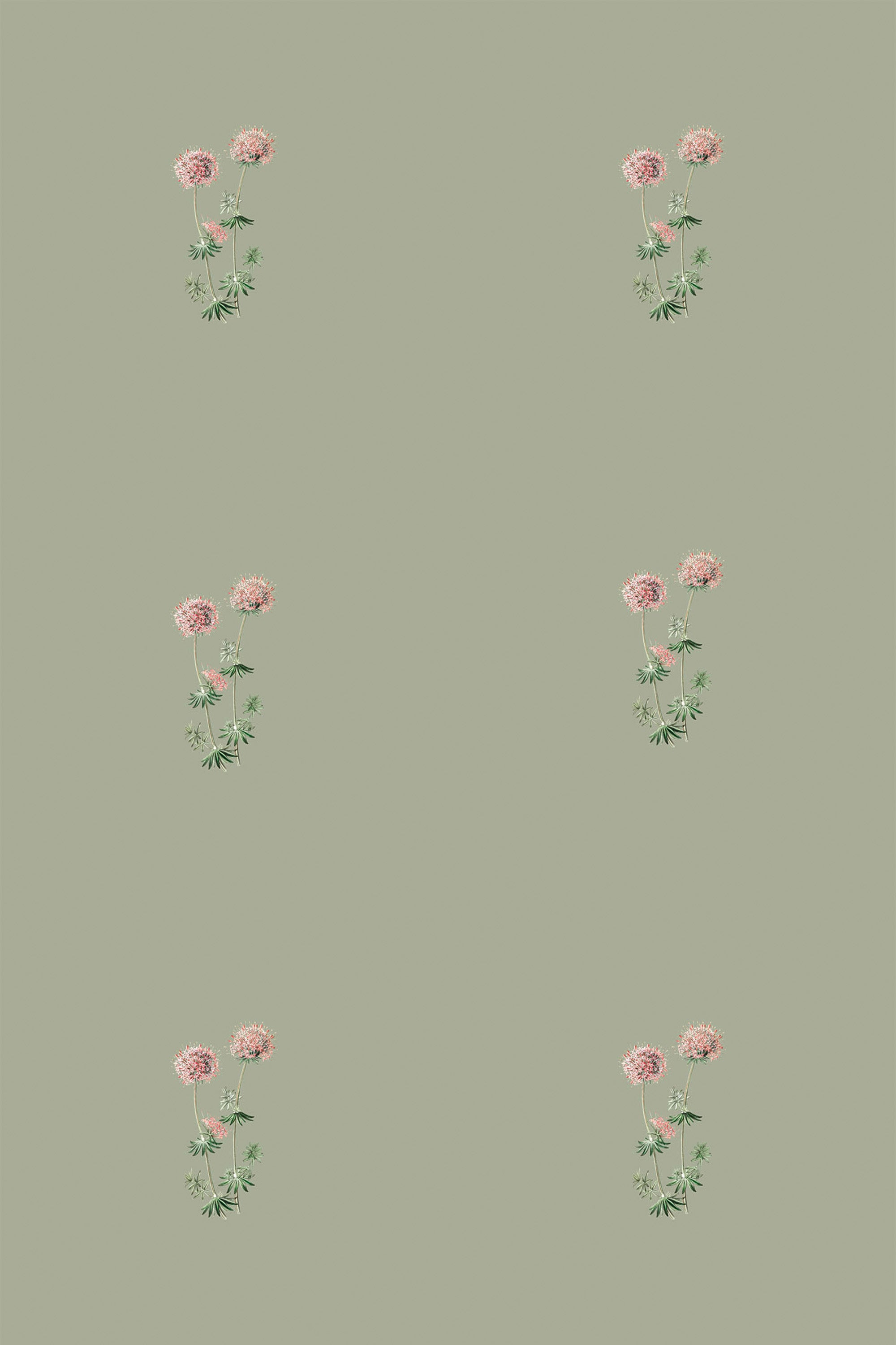 A repeating pattern of delicate pink and white summer flowers with green leaves dispersed evenly on a muted sage green background, peel and stick removable wallpaper.
