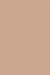 Solid Tan