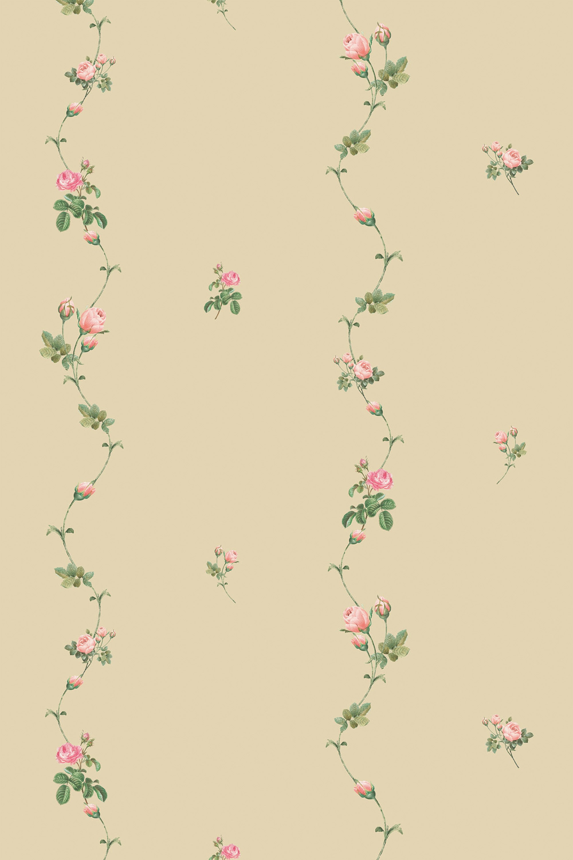 Delicate wallpaper with tiny vine roses and green leaves winding vertically against a pale beige background, accented by small, scattered rosebuds. Peel and stick removable wallpaper.