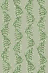 Green fern