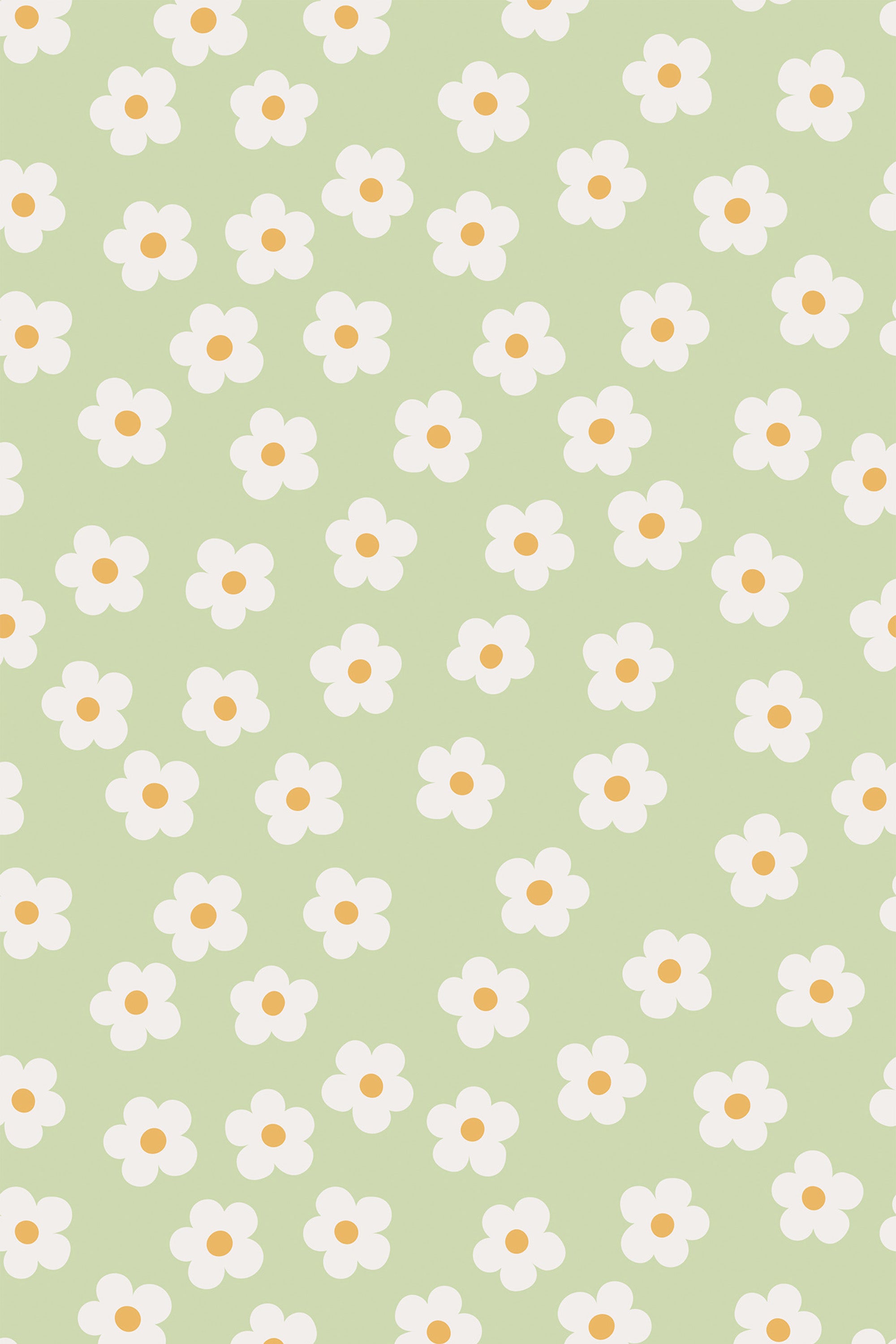 A pattern of small white daisies with yellow centers on a light green background, forming a regular repeat pattern for peel and stick removable wallpaper.
