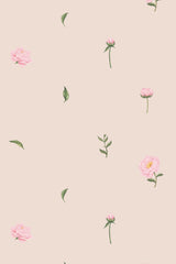 Nursery roses
