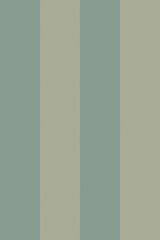 Wide green stripe