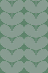 Green aesthetic leaves