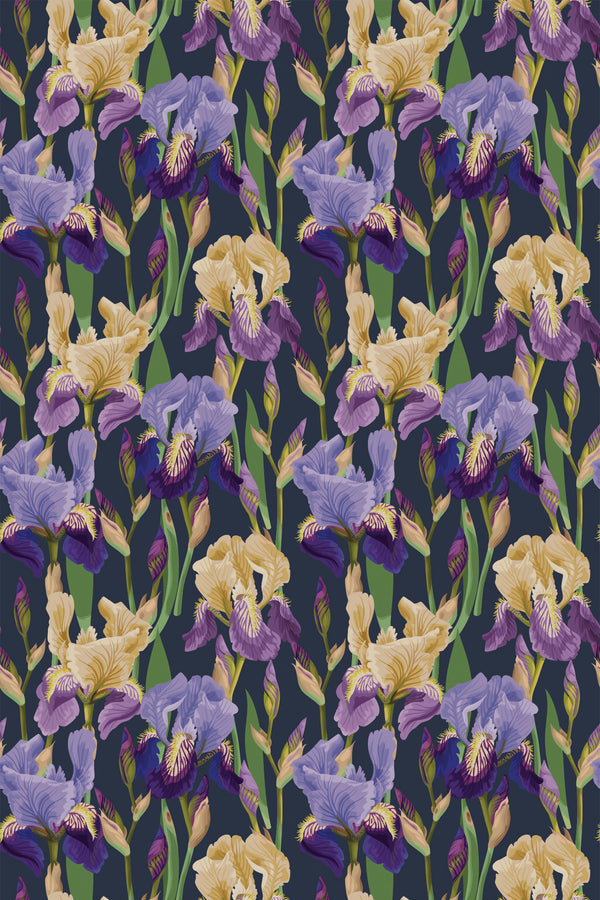 Bold Iris